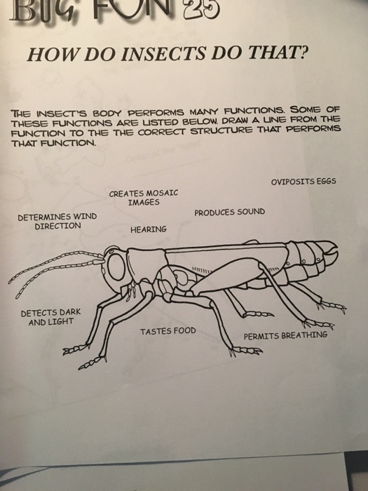 Solved how do insects do that the insect s body performs chegg