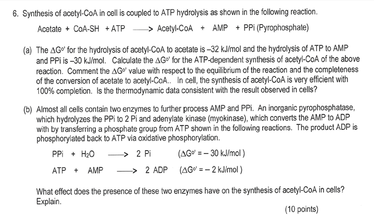 Solved Synthesis of acetyl-CoA in cell is coupled to ATP | Chegg.com