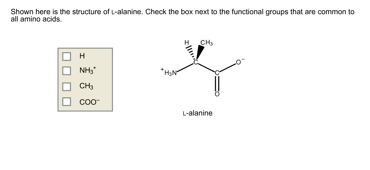 Solved Shown here is the structure of Lalanine. Check the