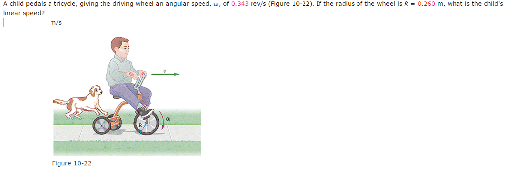 Solved A child pedals a tricycle, giving the driving wheel | Chegg.com
