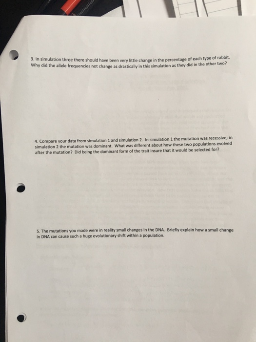 37 Natural Selection Simulation At Phet Worksheet Answers - Worksheet