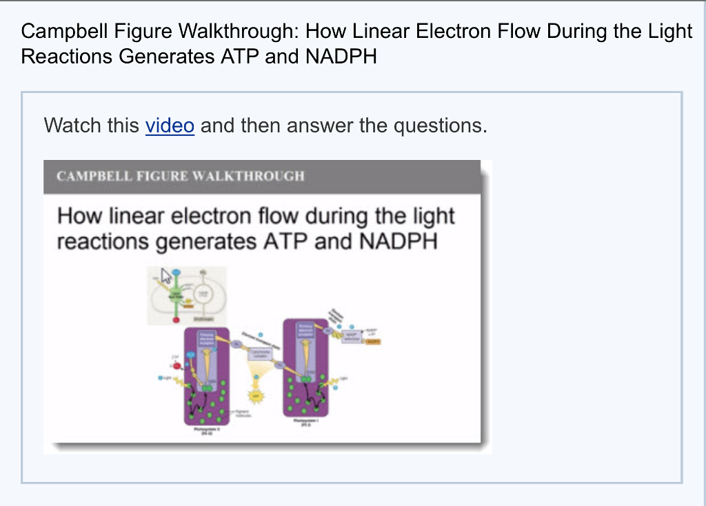 Solved Campbell Figure Walkthrough: How Linear Electron Flow | Chegg.com