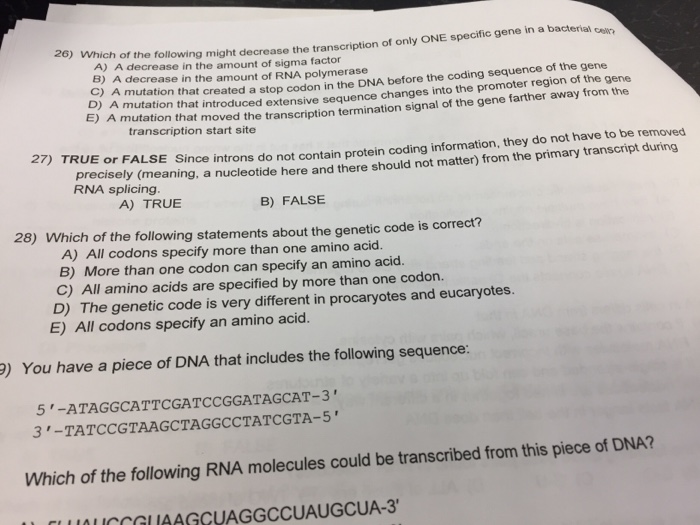 Solved 26) Which of the following might decrease the | Chegg.com
