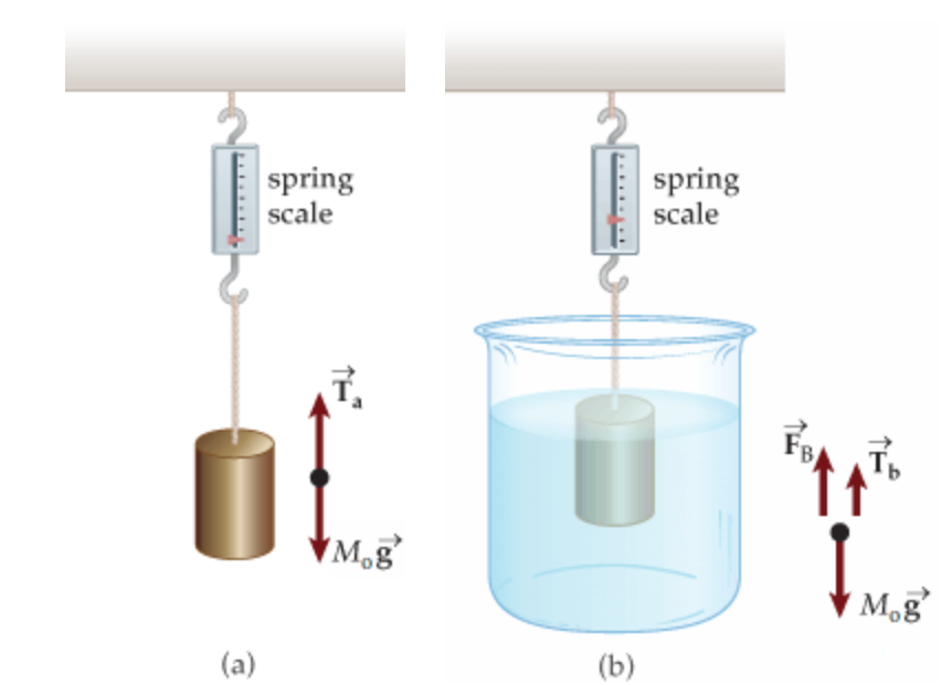 Solved When an object is suspended from a spring balance