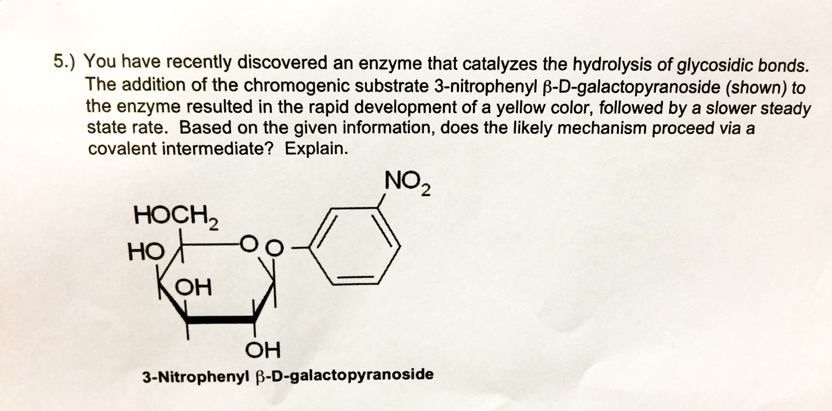 Solved You Have Recently Discovered An Enzyme That Catalyzes | Chegg.com