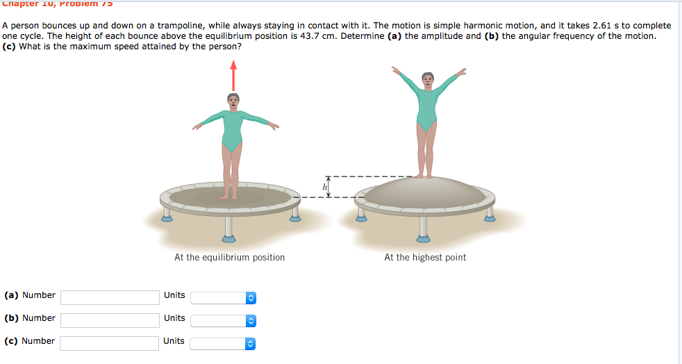 Solved A person bounces up and down on a trampoline, while