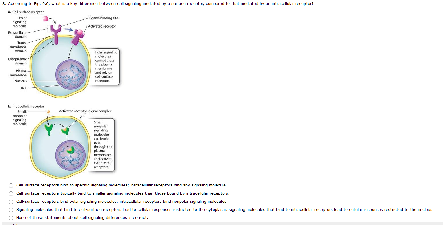 Solved According to Fig. 9.6, what is a key difference | Chegg.com