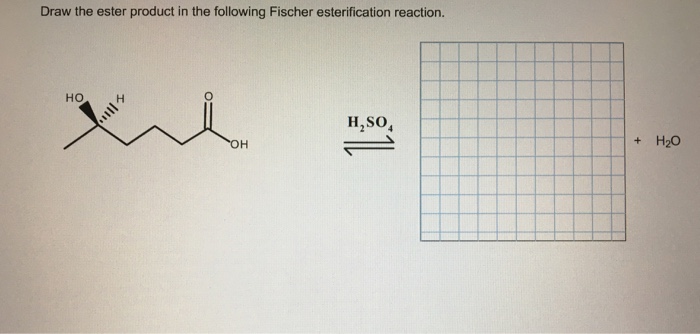 Solved Draw the ester product in the following Fischer | Chegg.com
