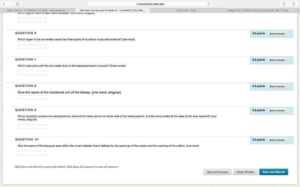 Bing Quiz Of The Week : Solved Blackboard Umkc Edu Week Twelve Ls Anato 