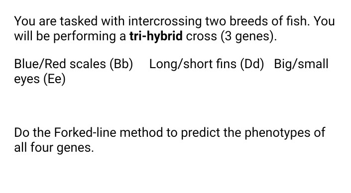 Solved You are tasked with intercrossing two breeds of fish. | Chegg.com