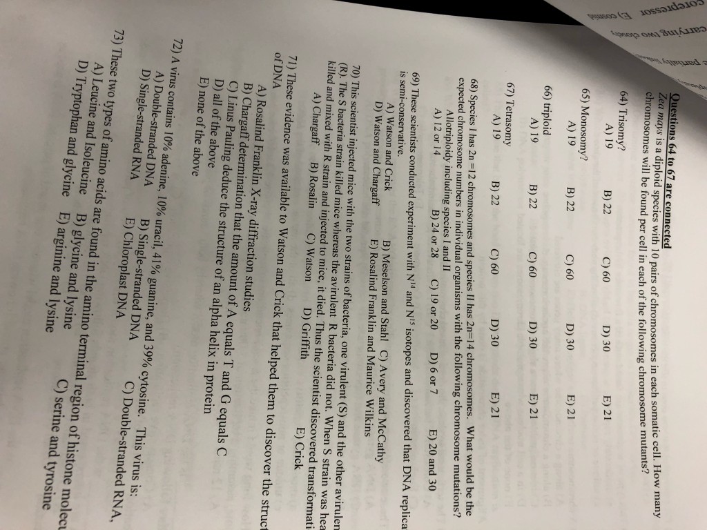 solved-questions-64-to-67-are-connected-zea-mays-is-a-chegg