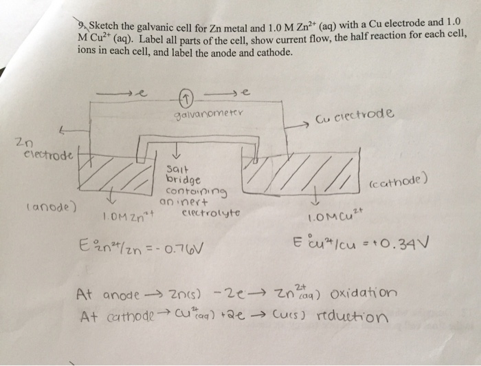 Solved Sketch the galvanic cell for zn metal and 1.0 M n? | Chegg.com