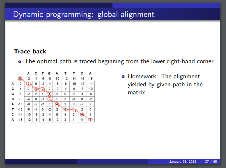 Solved Dynamic Programming: Global Alignment Trace Back » | Chegg.com