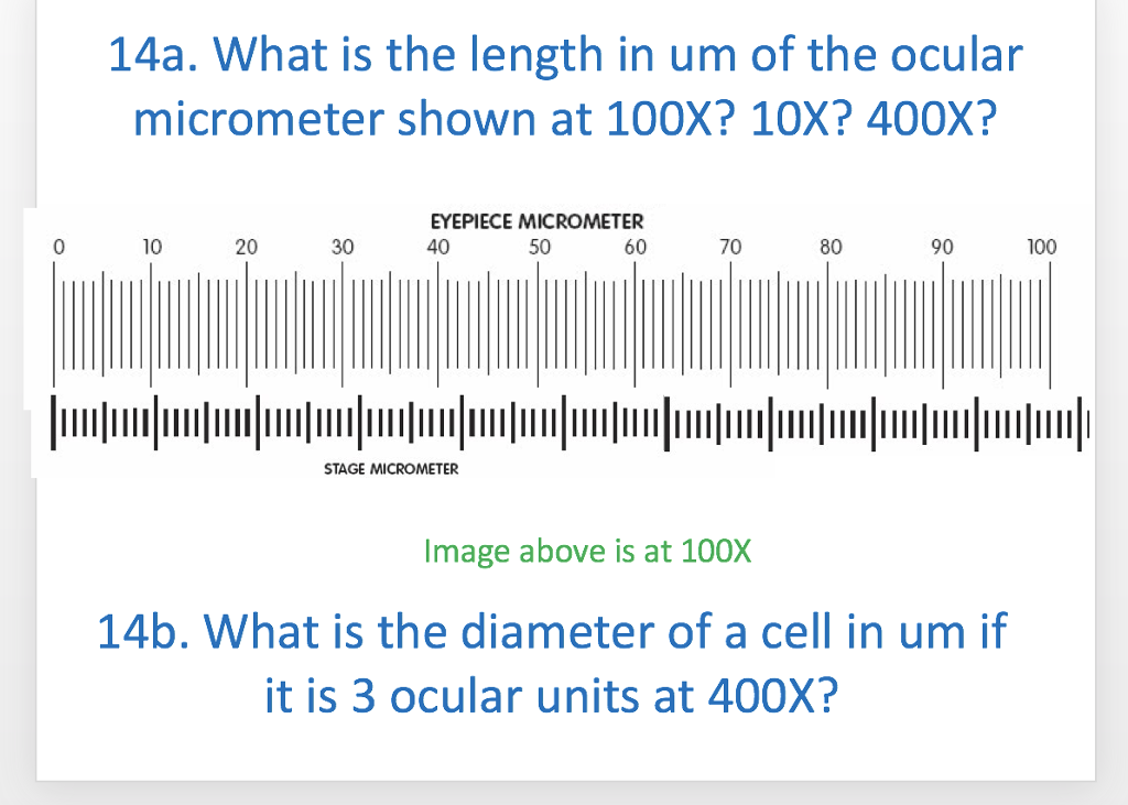 Solved 14a. What is the length in um of the ocular