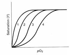 Solved Several Oxygen Dissociation Curves Are Shown In The | Chegg.com