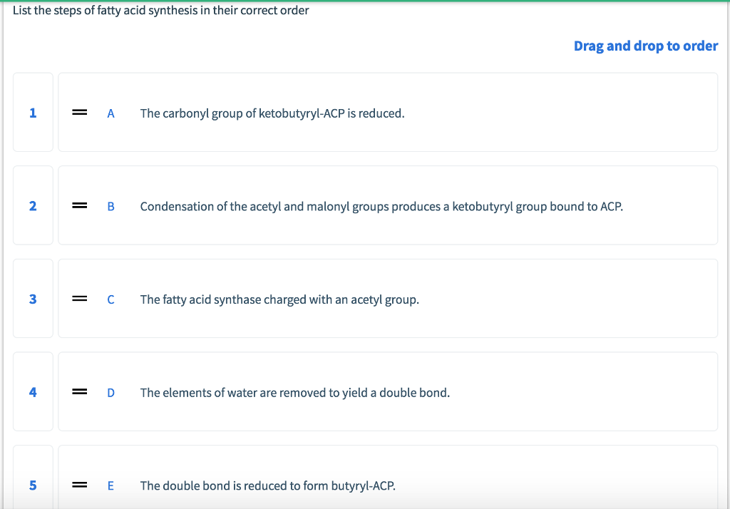 Solved List the steps of fatty acid synthesis in their Chegg