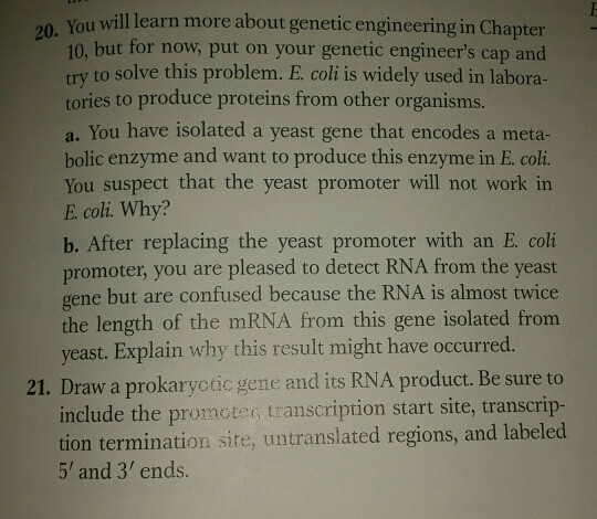 Solved u will learn more about genetic engineering in | Chegg.com