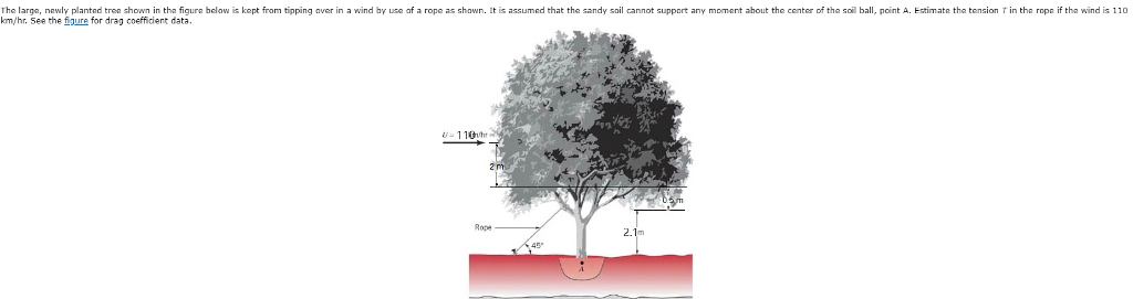 Solved The large, newly planted tree shown in tha figura | Chegg.com