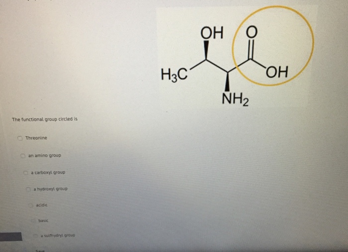 Solved The Functional Group Circled Is Threonine An Amino Chegg