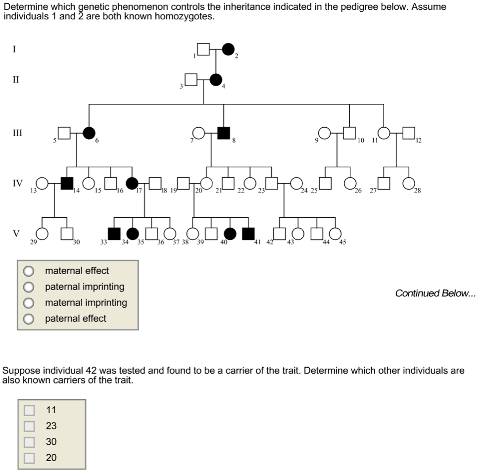 Solved Determine which genetic phenomenon controls the | Chegg.com