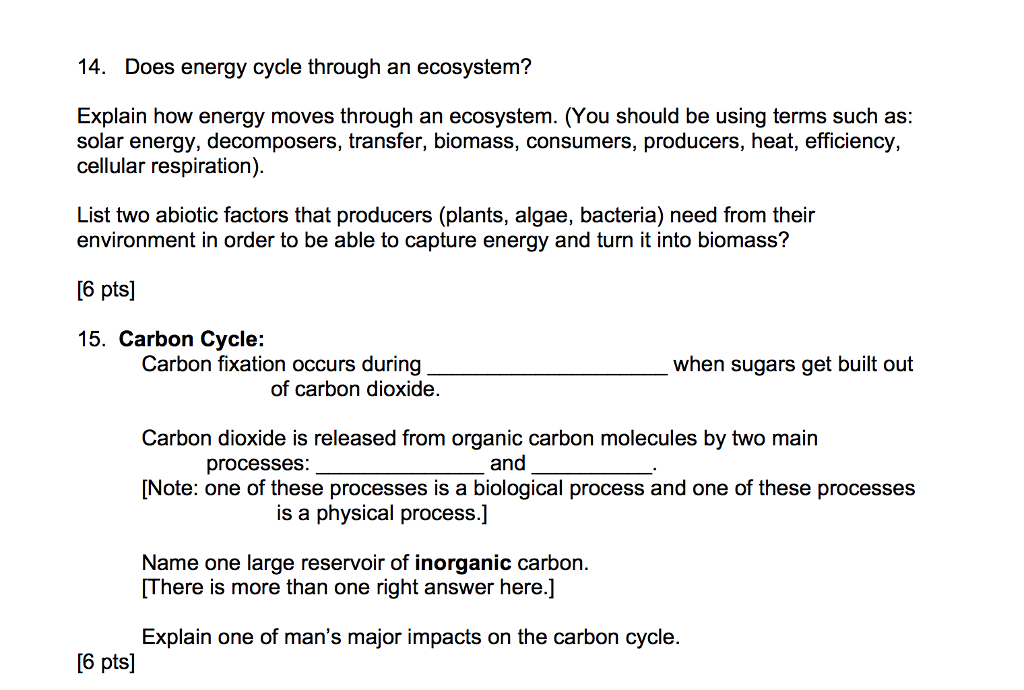 solved-does-energy-cycle-through-an-ecosystem-explain-how-chegg