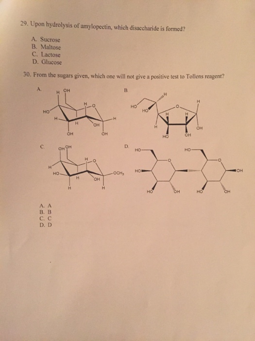 Solved Upon Hydrolysis Of Amylopectin Which Disaccharide Is Chegg