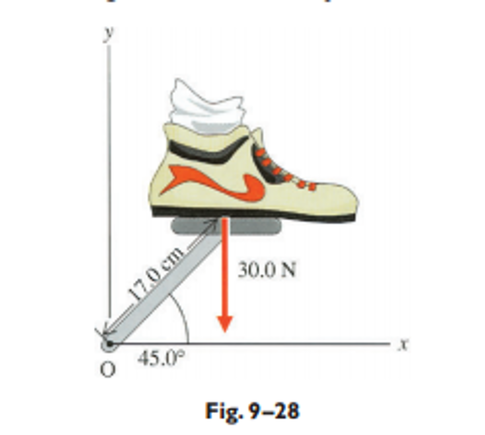 Solved A cyclist exerts a downward force on a bicycle pedal,