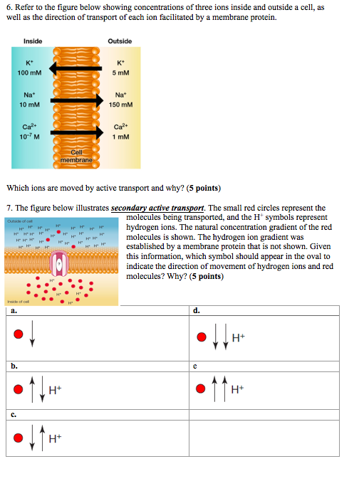 Solved 6. Refer to the figure below showing concentrations | Chegg.com