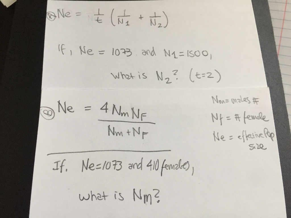 solved-ne-1-t-1-n-1-1-n-2-if-ne-1073-and-n-1-chegg