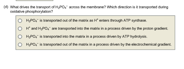 Solved Which direction is ATP4- transported during times of | Chegg.com
