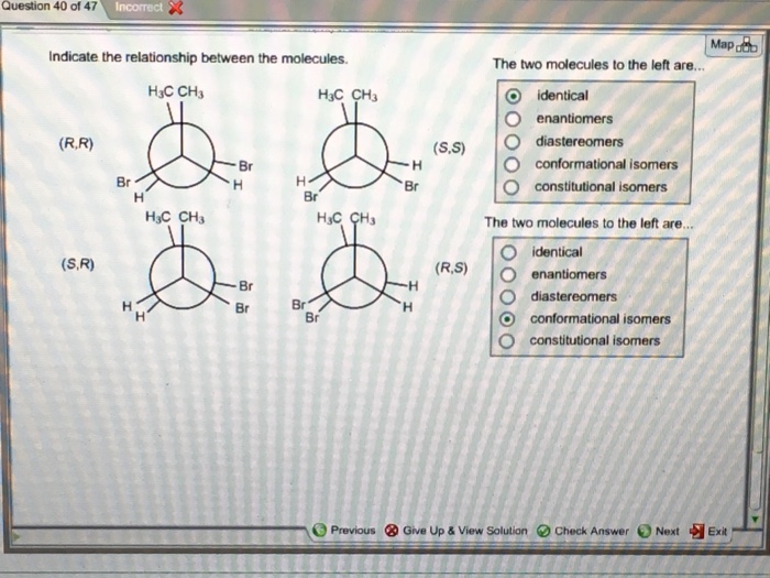 Solved Indicate The Relationship Between The Molecules The 7776