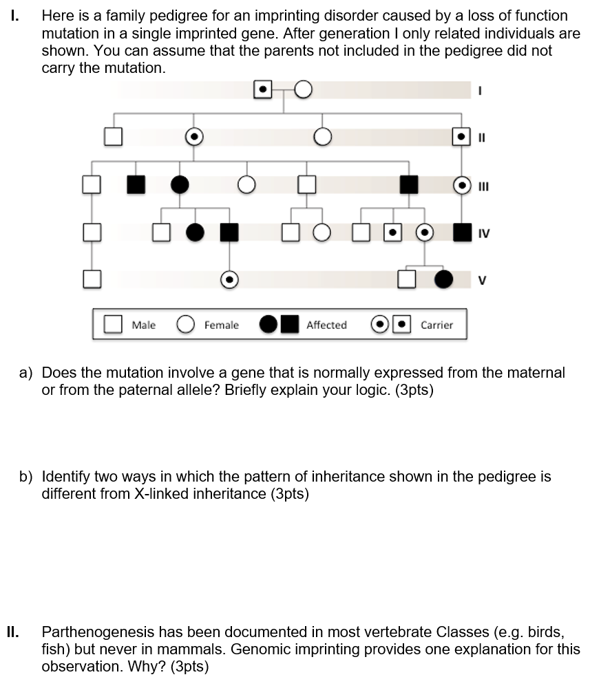 Genomic Imprinting Pedigree