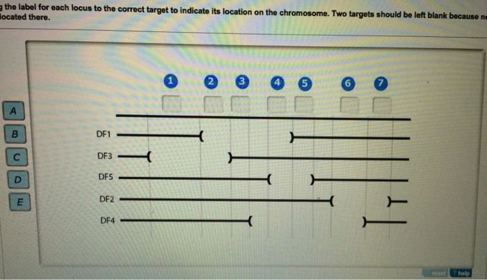 Solved Having assembled a map of the five deletions, you now | Chegg.com