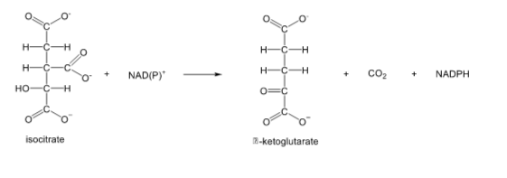 Isocitrate Dehydrogenase Reaction