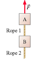 Solved The Figure Shows Two 1.0kg Blocks Connected By A | Chegg.com