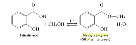 methyl-salicylate-is-an-ester-and-can-be-prepared-chegg