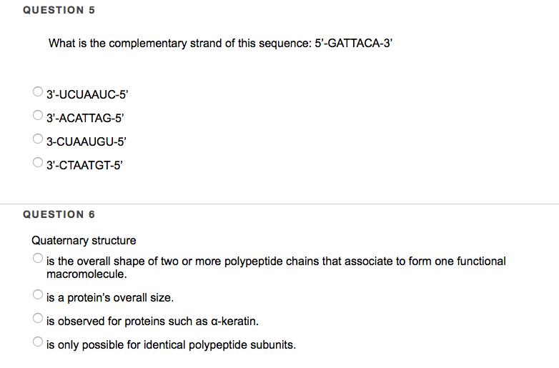 Difference Between Dna And Rna Structure - DNA Informasi