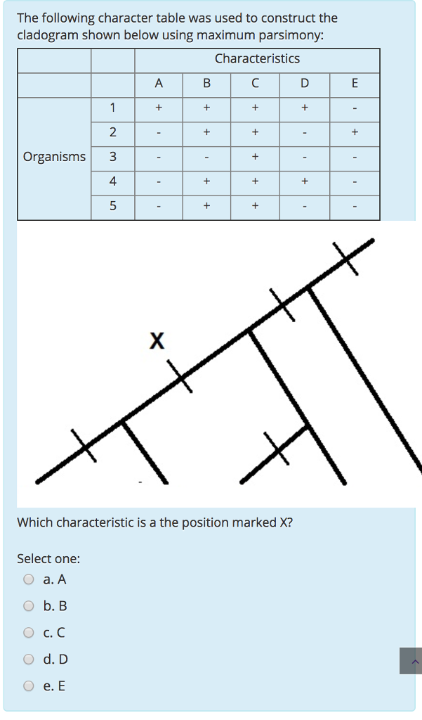 Solved The following character table was used to construct | Chegg.com