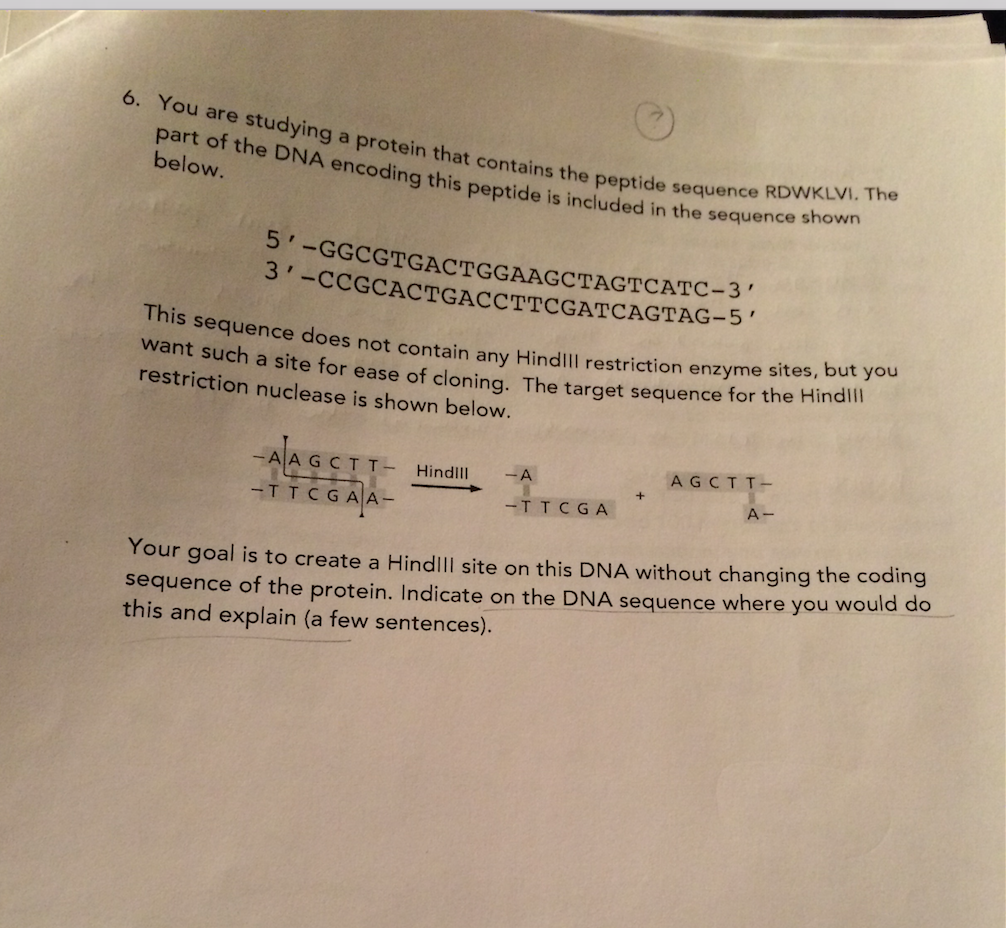 Solved Protein Sequencing Problems 1 Determine The Or Cheggcom