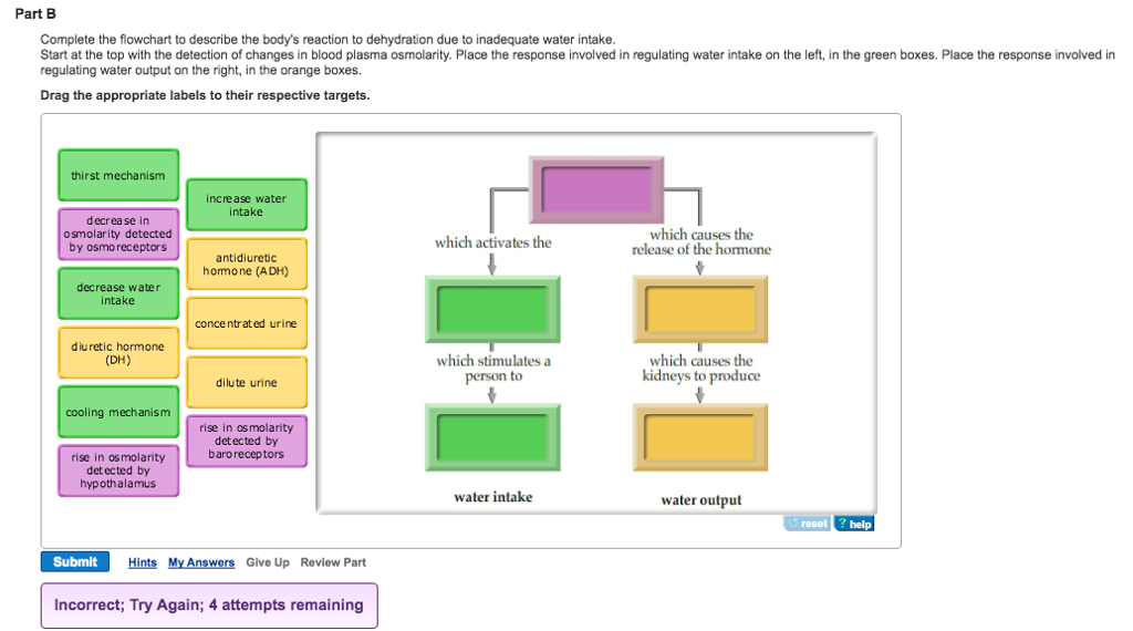 Urine Intake And Output Chart - Minga