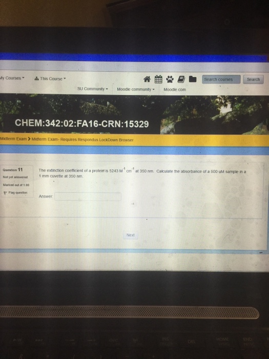 Solved The extinction coefficient of a protein is 5243 M^1