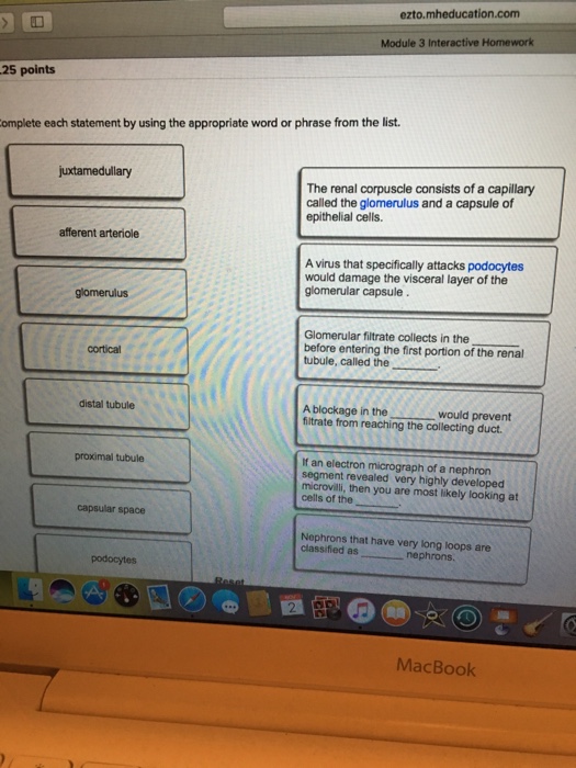 Solved Complete Each Statement By Using The Appropriate Word | Chegg.com