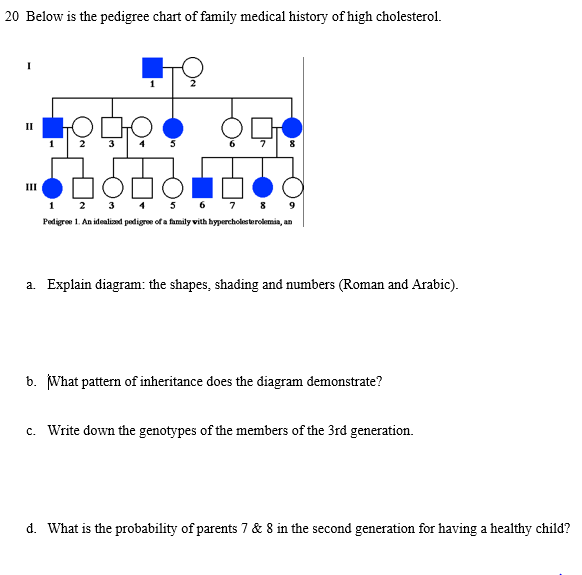Solved Below is the pedigree chart of family medical history | Chegg.com