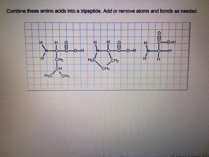 Solved Combine these amino acids into a tripeptide. Add or