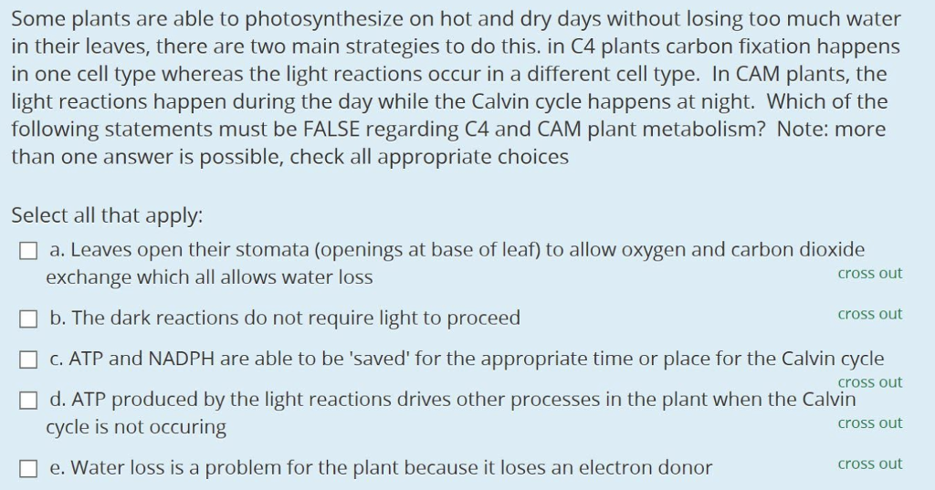 Solved Some plants are able to photosynthesize on hot and