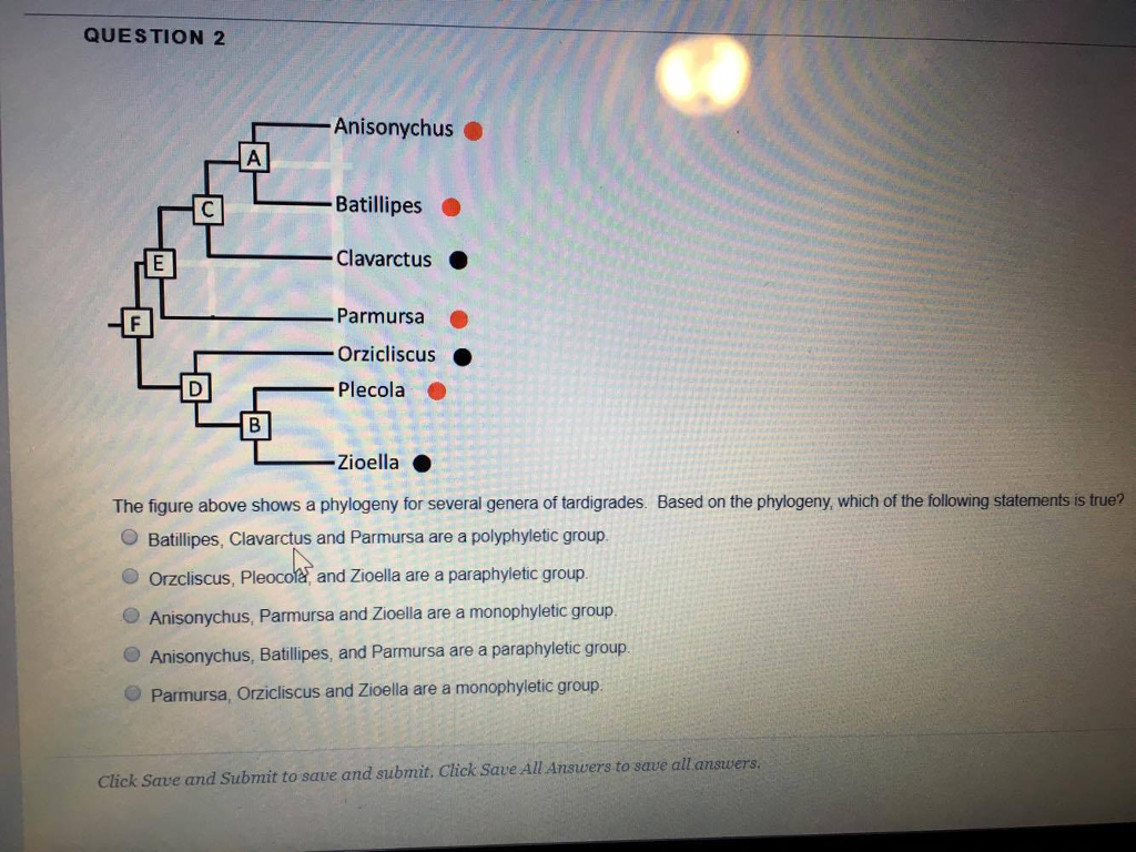 Solved The Figure Shows A Phylogeny For Several Genera Of | Chegg.com