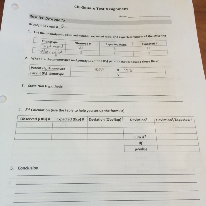 Solved ChiSquare Test Assignment Name Results Drosophila