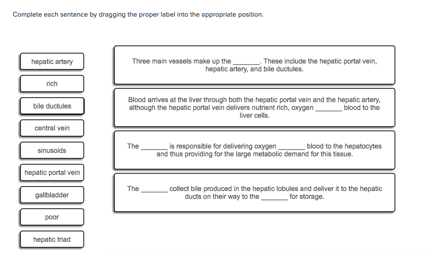 Solved Complete each sentence by dragging the proper label