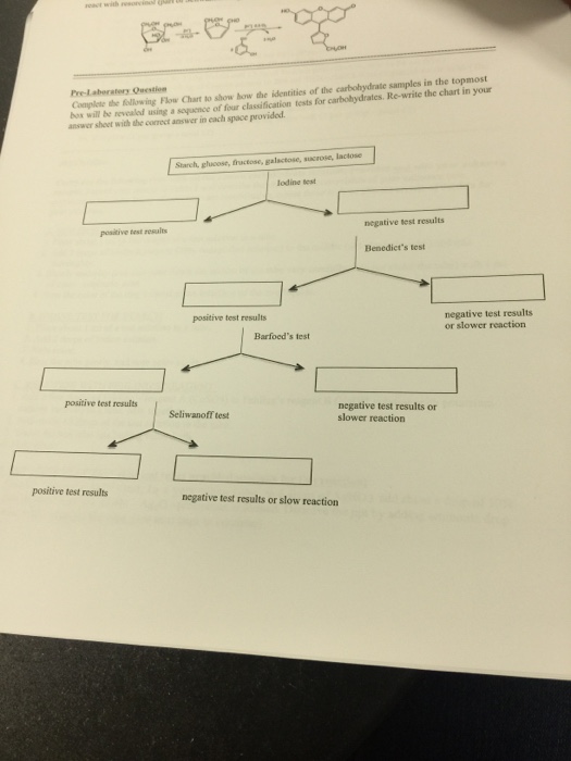 Solved Complete the following Flow Chart to show how the | Chegg.com