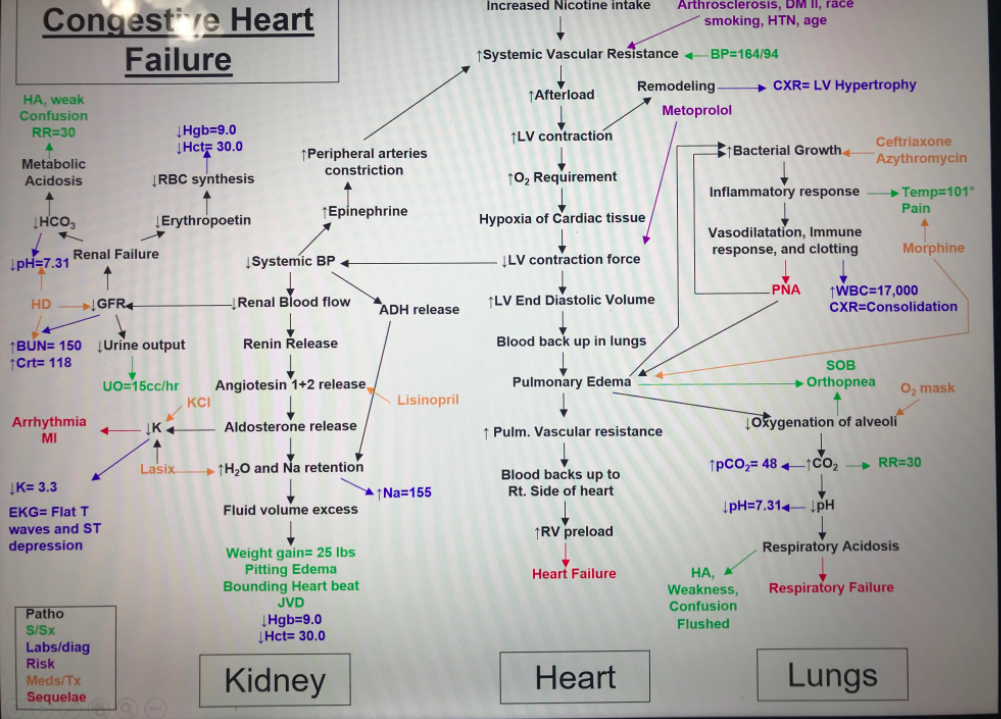 Concept Map Heart Failure V2 Pdf Concept Map Heart Fa - vrogue.co